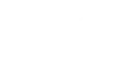 NDLSS